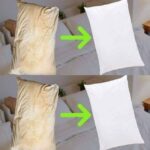 Questions and Riddles 99% of People Probably Can’t Solve: The Ultimate Test of Logic and Creativity
