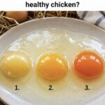 Did you get it right on your first try? Share your answer before reading the explanation ! AND CHECK THE RIGHT ONE IN STHE FIRST