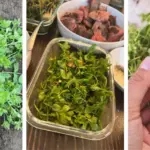 Plant Rosemary in a Pot by Your Window: Here’s Why