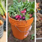 7 Things To Do With Hydrangea Cuttings in July for Best Growth Next Season