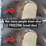 Don’t get fooled by the supermarkets. They’re selling you meat from… See more