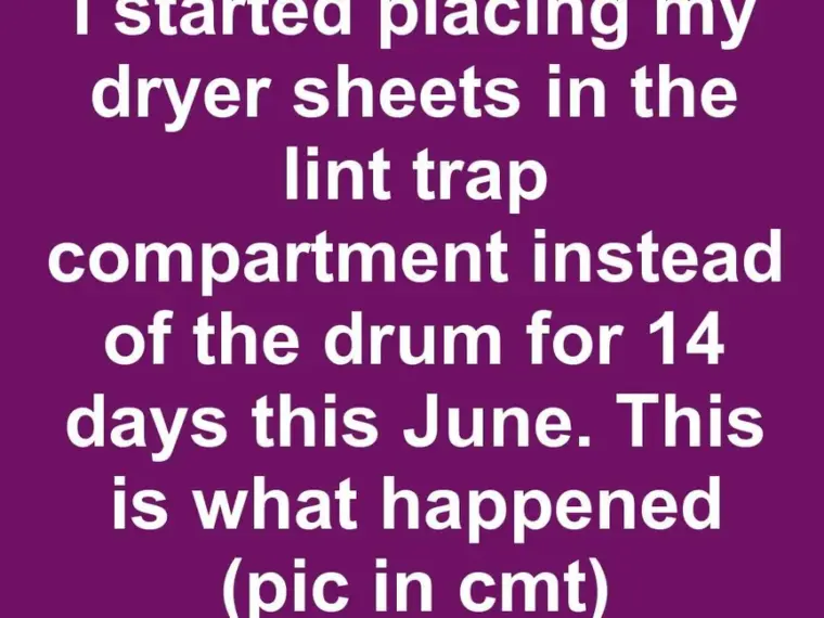 I started placing my dryer sheets in the lint trap compartment instead of the drum for 14 days this June. This is what happened