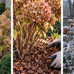 Got A Rosemary Bush? Here’re 20 Brilliant & Unusual Ways To Use All That Rosemary